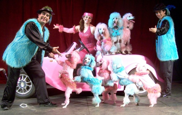 Chile's Cartoon Poodles