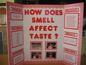This creative third grader snagged a science fair ribbon for a simple taste test, in part because of the attractive boards. (Courtest of the Humble ISD.) 