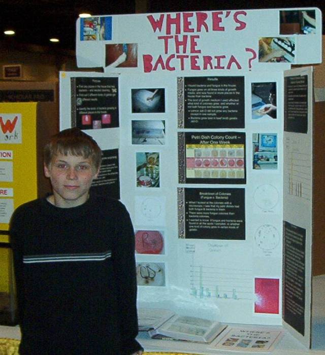 Bigger is better when it comes to science fair display boards -- read the rules, and don't settle for small store-bought displays. 