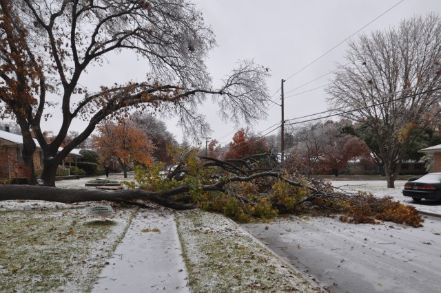 Street in Dallas blocked by fallen tree ice storm Dec. 2013