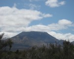 Tongariro