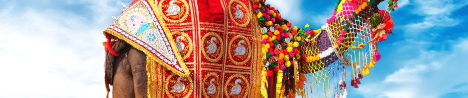 Shutterstock free image of the week 5_20_14