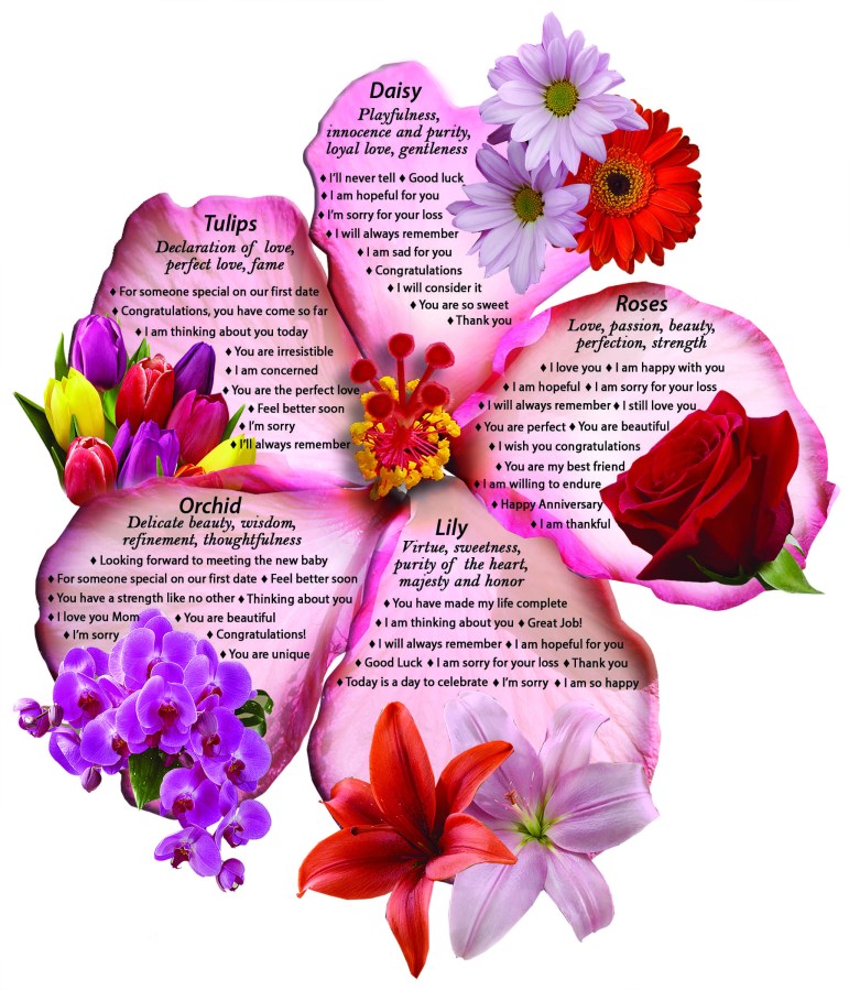 Language of Flowers Infographic Blooms Today